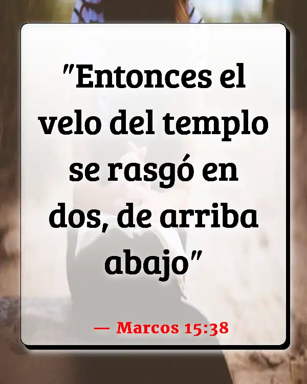Versículos De La Biblia   	Velo  (Marcos 15:38)