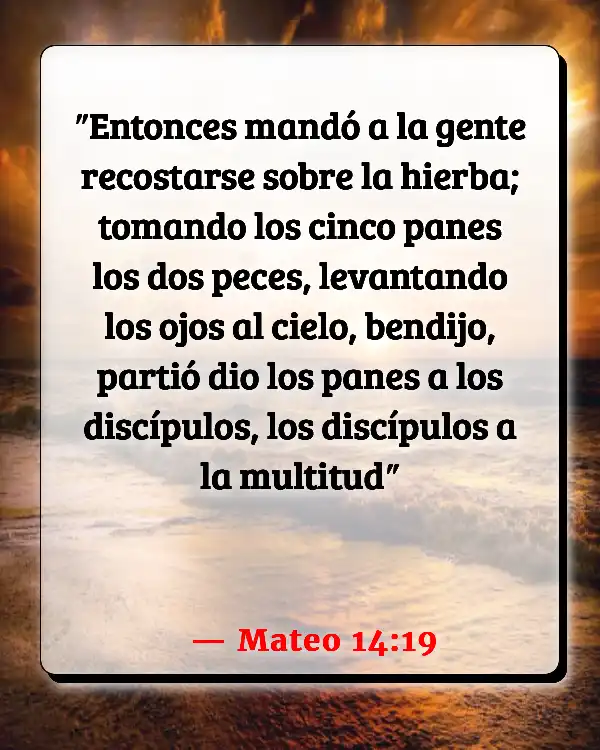 Versículos De La Biblia Alimentos (Mateo 14:19)