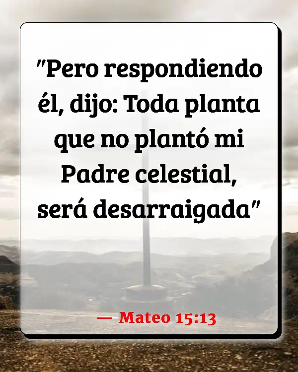 Versículos De La Biblia Plantas (Mateo 15:13)