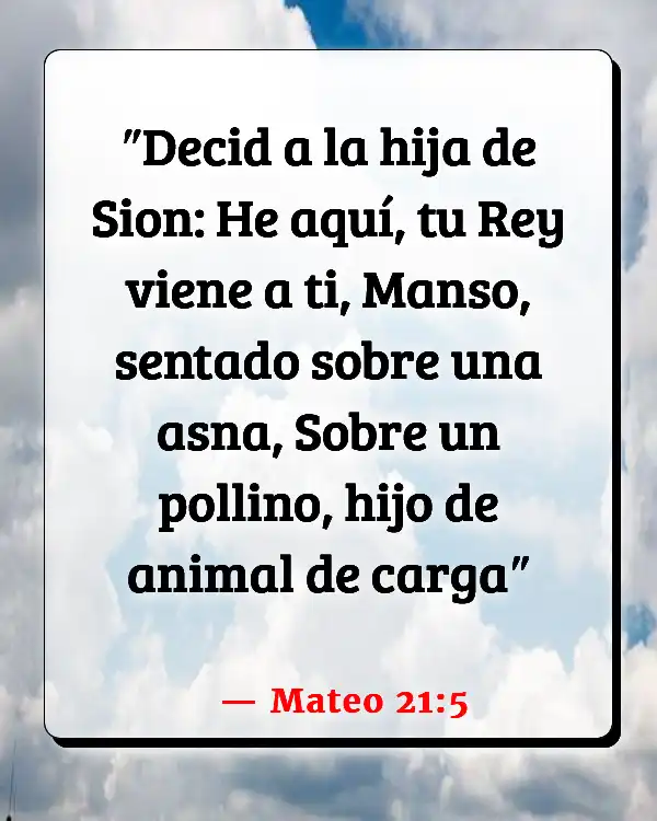 Versículos De La Biblia Lectores de palma (Mateo 21:5)