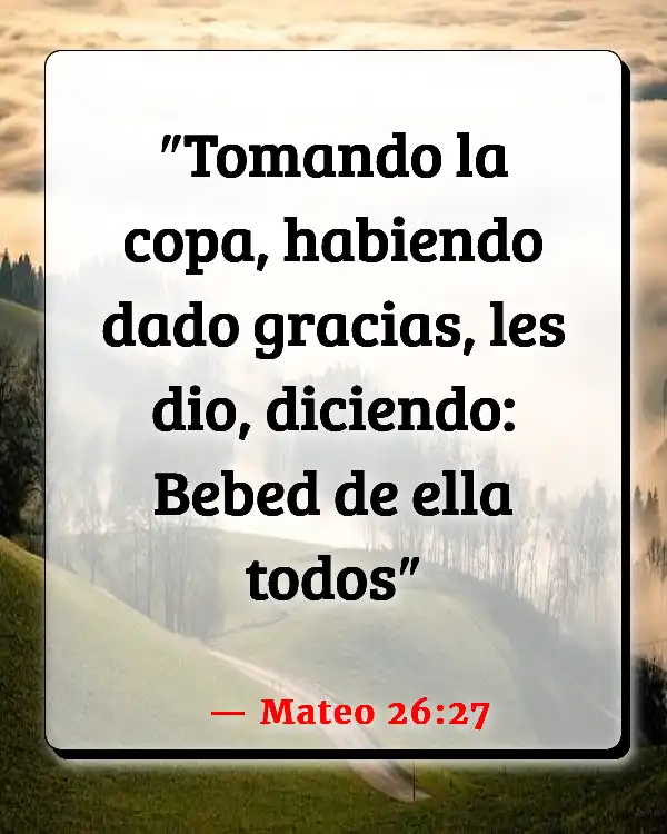 Versículos De La Biblia   	Partiendo el pan  (Mateo 26:27)