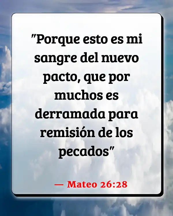 Versículos De La Biblia Perdón (Mateo 26:28)