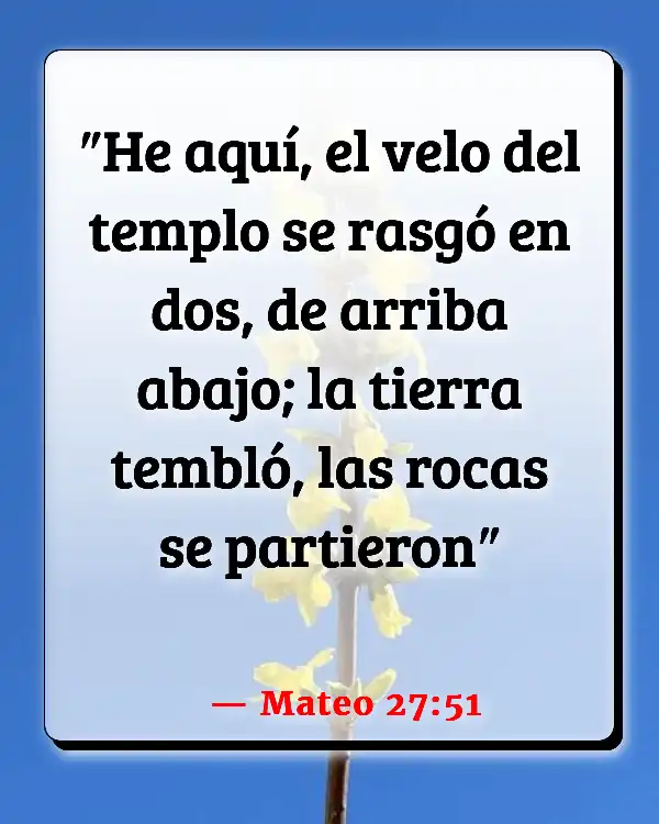 Versículos De La Biblia Arca de la Alianza (Mateo 27:51)