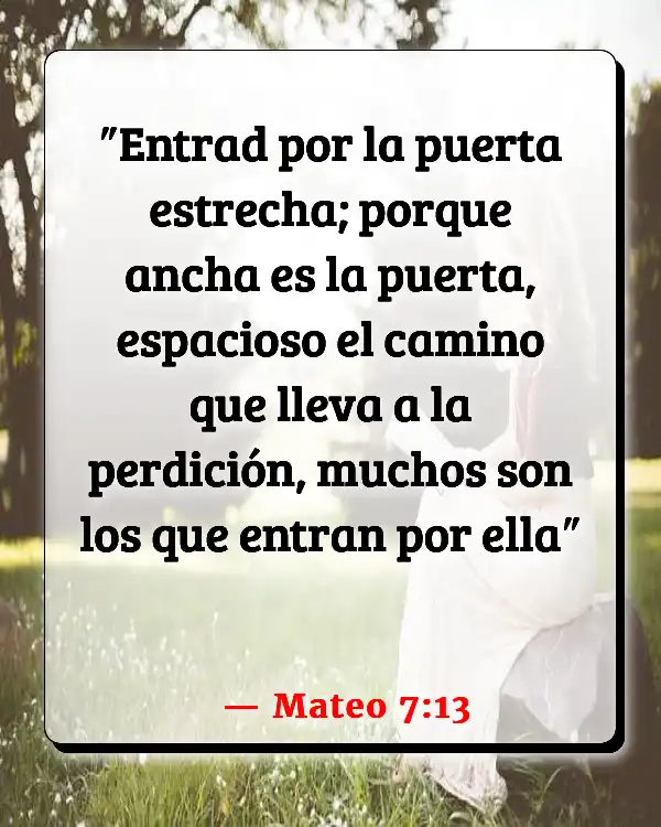 Versículos De La Biblia Camino (Mateo 7:13)