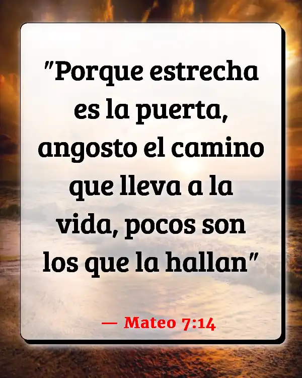 Versículos De La Biblia Juzgar no (Mateo 7:14)