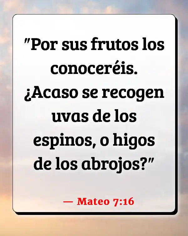 Versículos De La Biblia Juzgar no (Mateo 7:16)