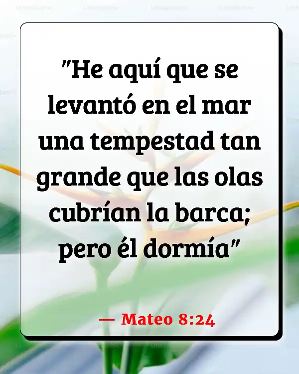 Versículos De La Biblia   	Estar descansado  (Mateo 8:24)
