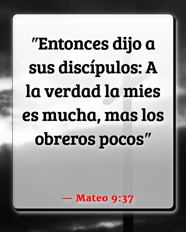 Versículos De La Biblia   	Agricultura  (Mateo 9:37)