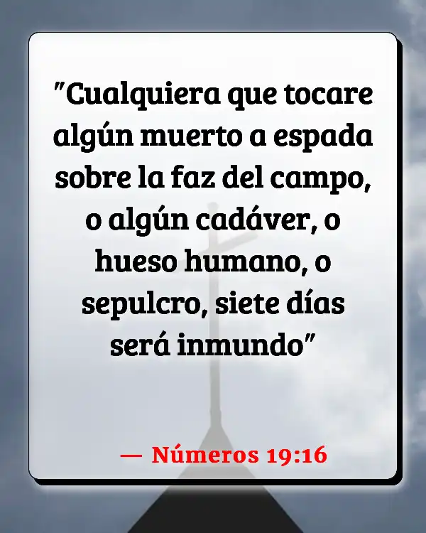 Versículos De La Biblia   	La novilla roja  (Números 19:16)