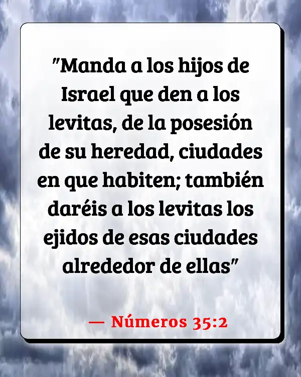 Versículos De La Biblia Accidentes (Números 35:2)