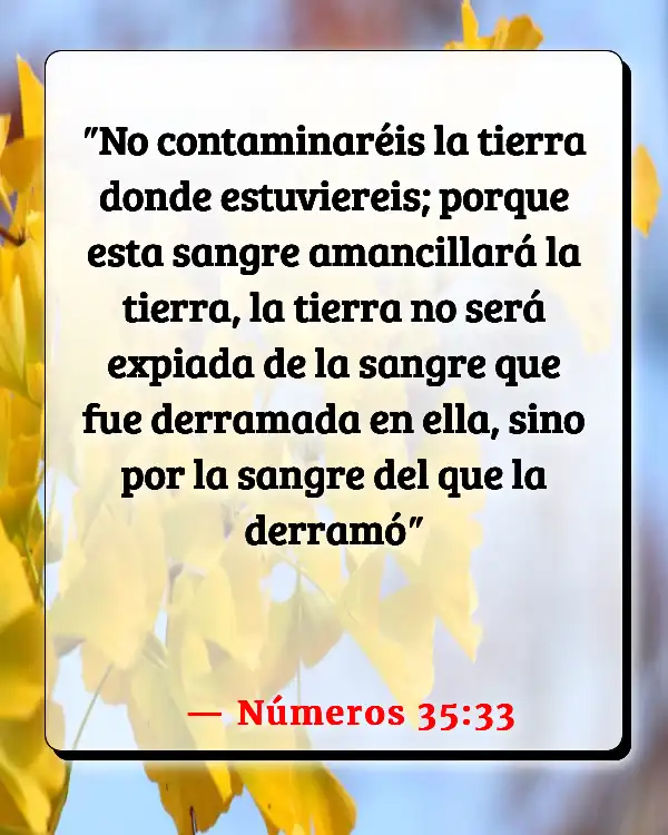 Versículos De La Biblia Cuidando la Tierra (Números 35:33)
