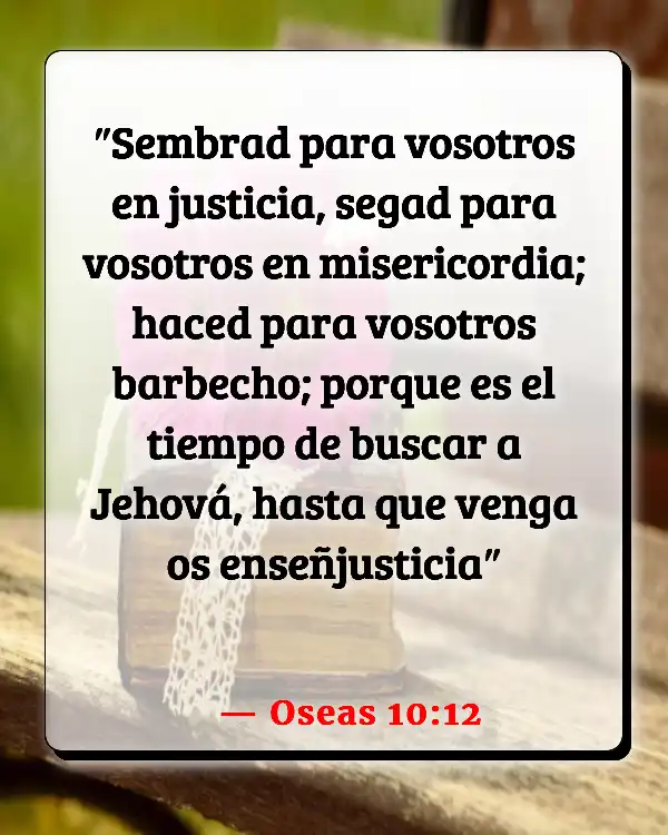 Versículos De La Biblia   	Agricultura  (Oseas 10:12)