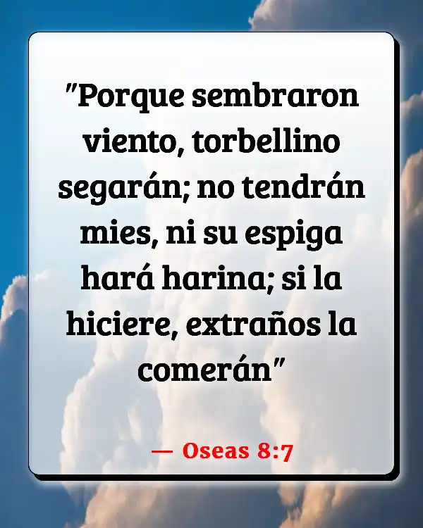 Versículos De La Biblia Plantando (Oseas 8:7)