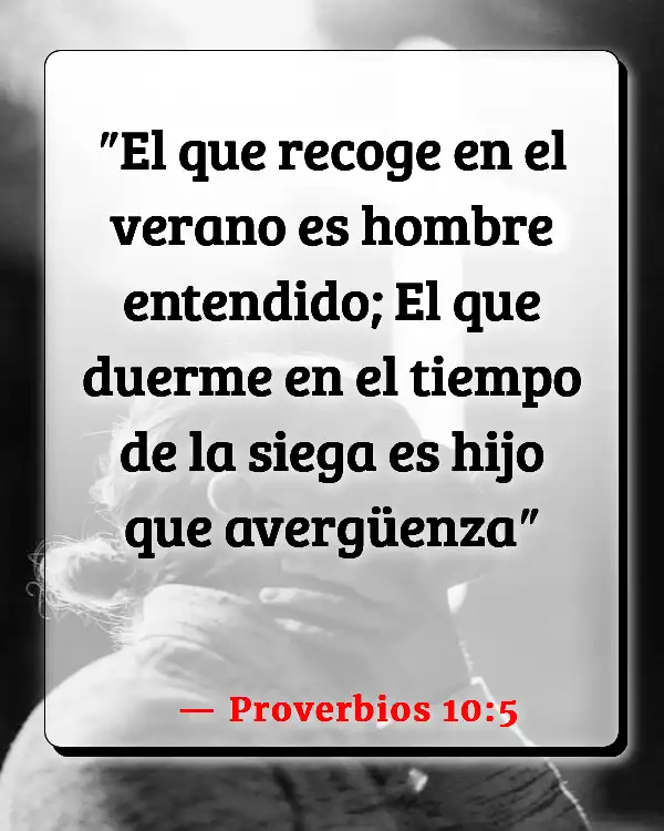 Versículos De La Biblia Verano (Proverbios 10:5)