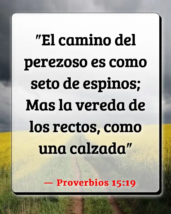 Versículos De La Biblia   	Apatía  (Proverbios 15:19)