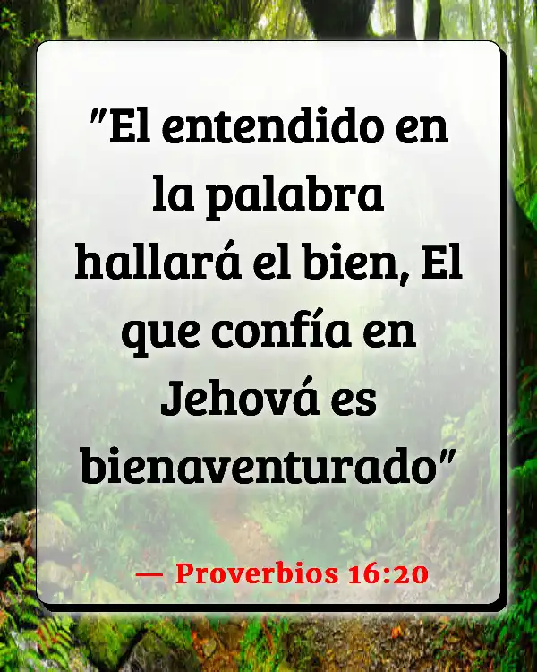 Versículos De La Biblia No confíes en nadie (Proverbios 16:20)