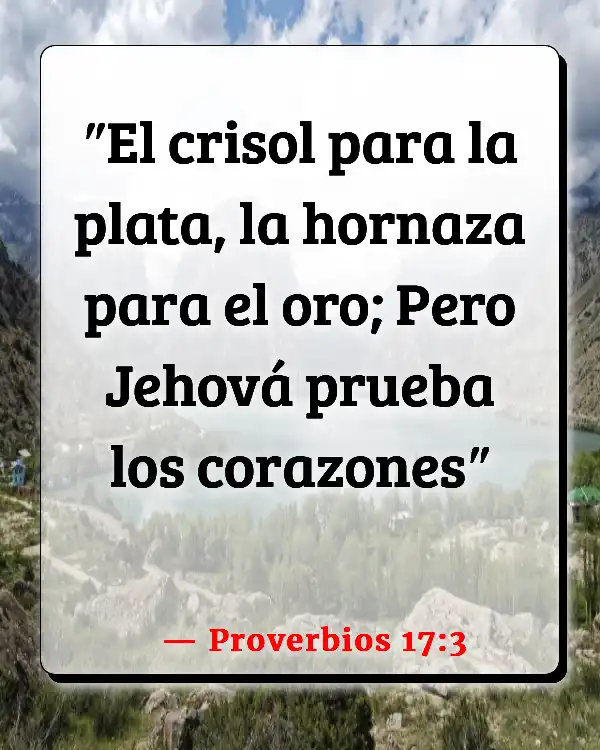 Versículos De La Biblia Maceta (Proverbios 17:3)