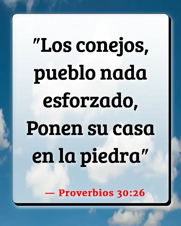 Versículos De La Biblia   	Mujer amarga  (Proverbios 30:26)