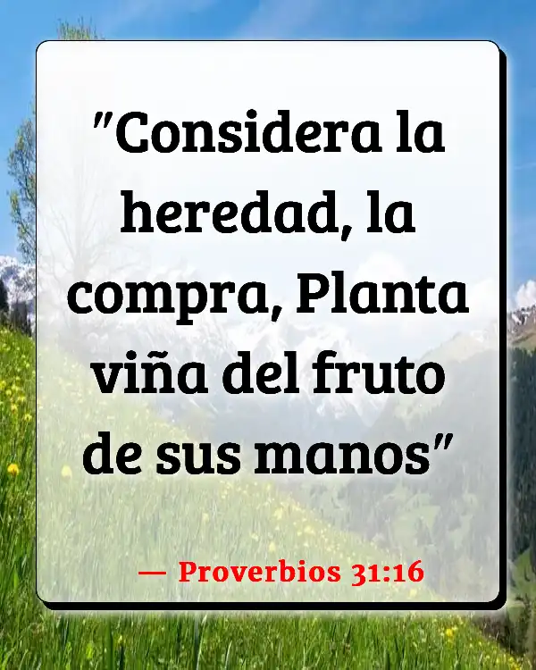 Versículos De La Biblia   	Ser una buena esposa  (Proverbios 31:16)
