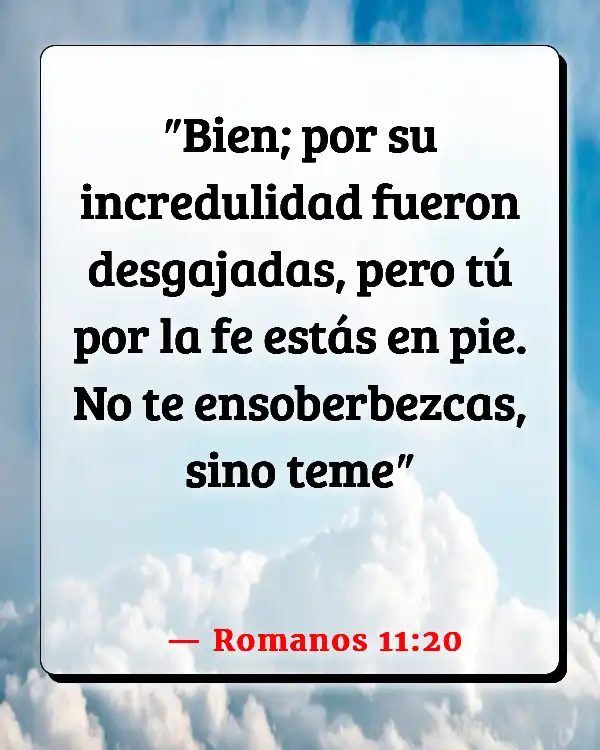 Versículos De La Biblia La gente la falta de fe (Romanos 11:20)