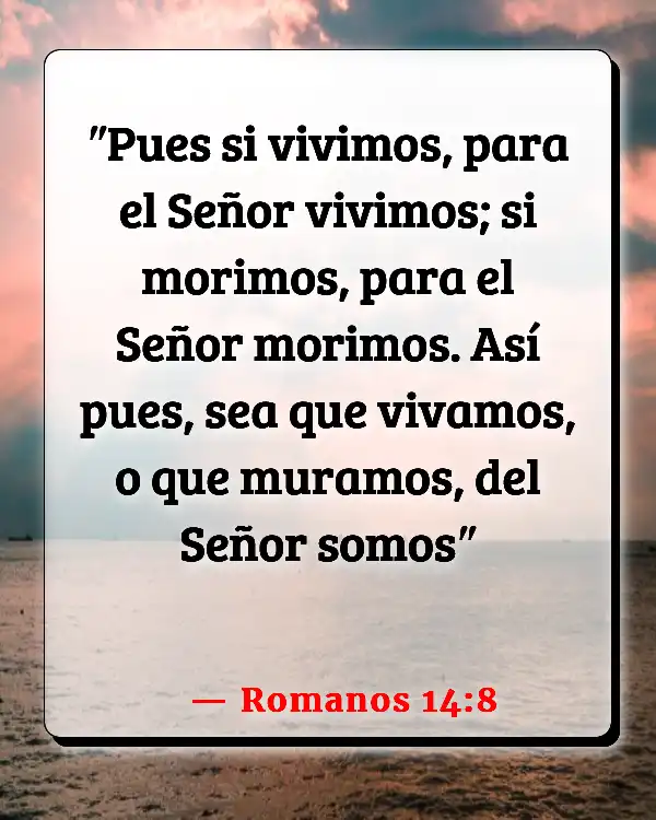 Versículos De La Biblia Nuestro cuerpo (Romanos 14:8)