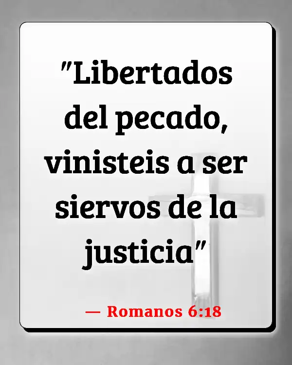 Versículos De La Biblia Abigail (Romanos 6:18)
