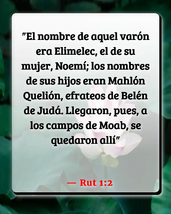Versículos De La Biblia Noemí (Rut 1:2)
