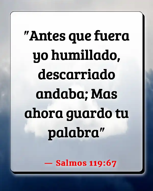 Versículos De La Biblia Adversidad (Salmos 119:67)