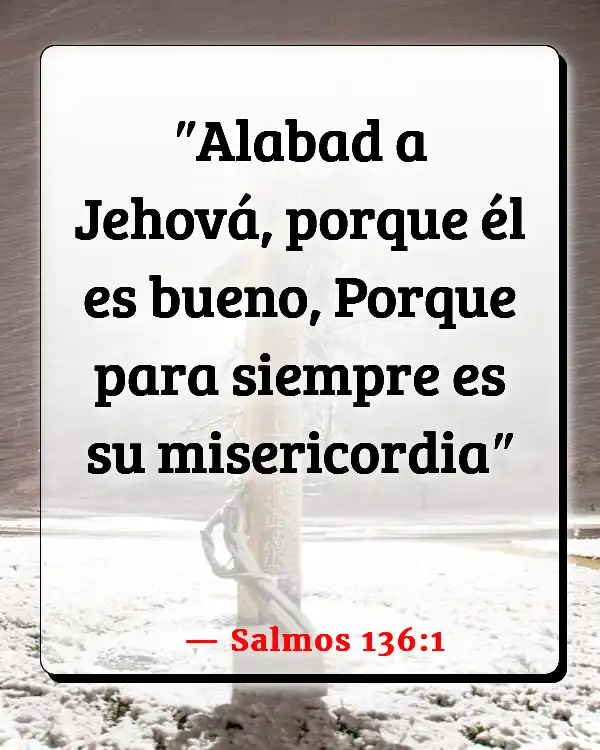 Versículos De La Biblia   	Ser firme  (Salmos 136:1)