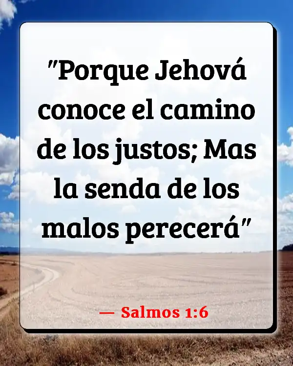 Versículos De La Biblia   	Profeta llamado por Dios  (Salmos 1:6)