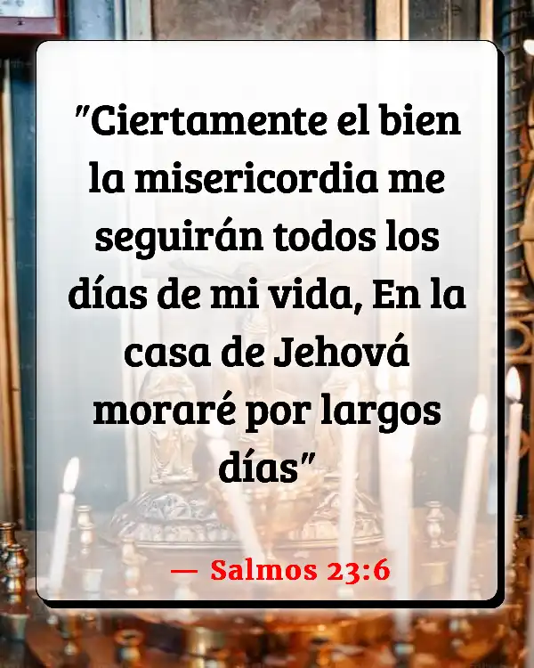 Versículos De La Biblia   	Abundancia  (Salmos 23:6)