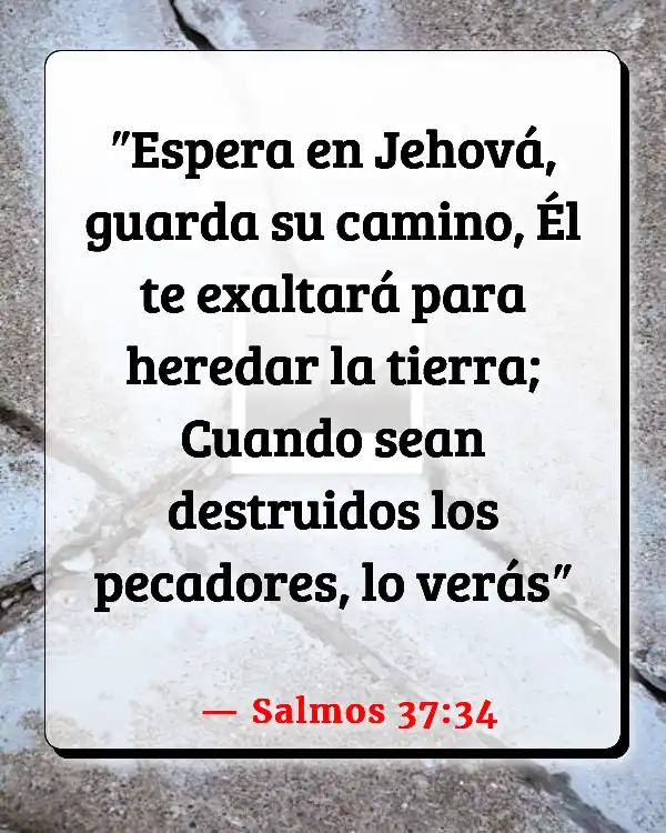 Versículos De La Biblia   	Esperando a la persona adecuada  (Salmos 37:34)