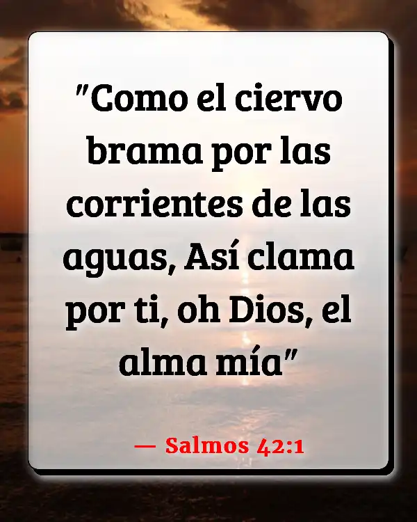 Versículos De La Biblia Pozo de agua (Salmos 42:1)