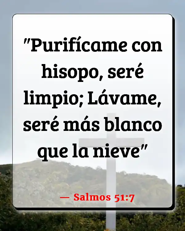 Versículos De La Biblia Limpieza cristiana (Salmos 51:7)