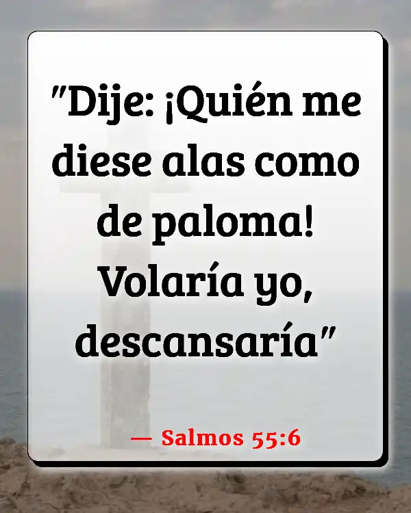 Versículos De La Biblia   	Aviones  (Salmos 55:6)