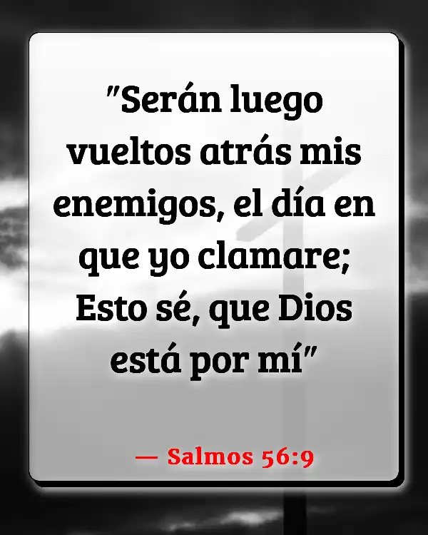Versículos De La Biblia   	Seguridad  (Salmos 56:9)
