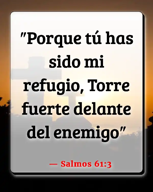 Versículos De La Biblia   	Ser firme  (Salmos 61:3)