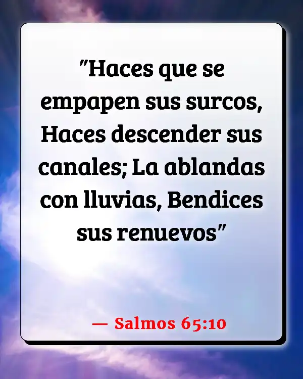 Versículos De La Biblia   	Agricultura  (Salmos 65:10)