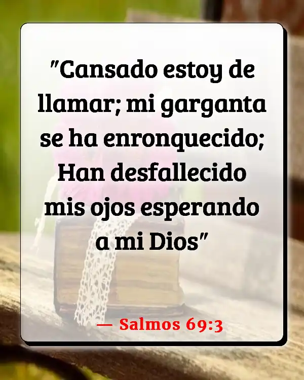Versículos De La Biblia Cansancio (Salmos 69:3)