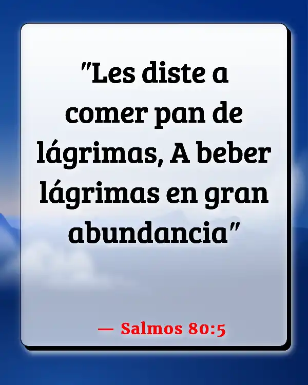 Versículos De La Biblia   	Lágrimas  (Salmos 80:5)