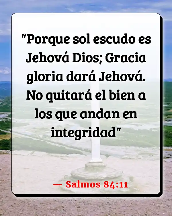 Versículos De La Biblia Dios provee (Salmos 84:11)