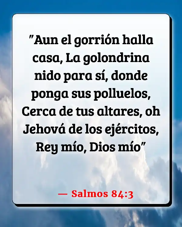 Versículos De La Biblia   	Aves  (Salmos 84:3)