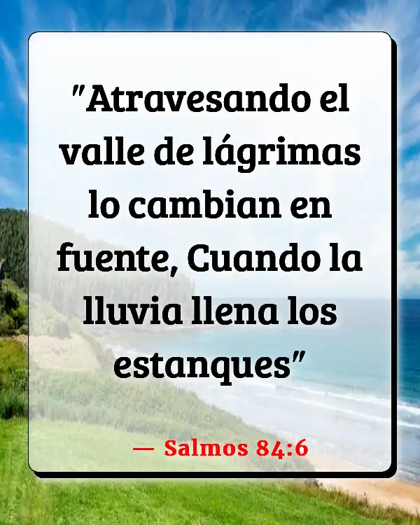 Versículos De La Biblia   	Otoño  (Salmos 84:6)