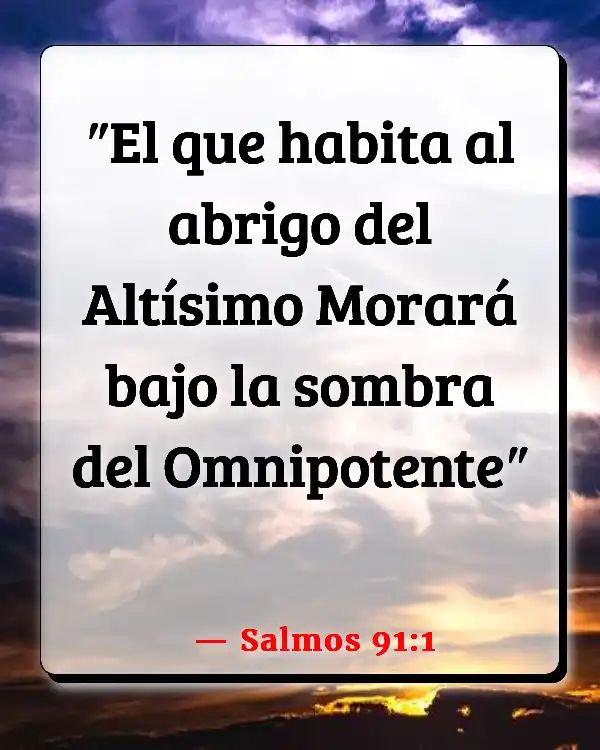Versículos De La Biblia Dolor y dolor (Salmos 91:1)