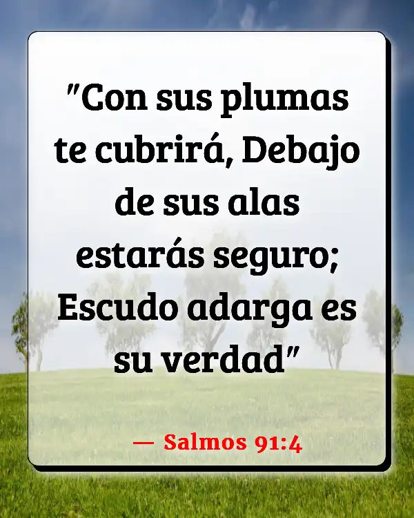 Versículos De La Biblia La fidelidad de Dios (Salmos 91:4)