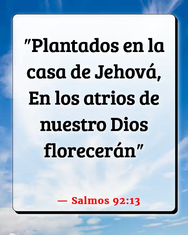 Versículos De La Biblia   	Raíces  (Salmos 92:13)