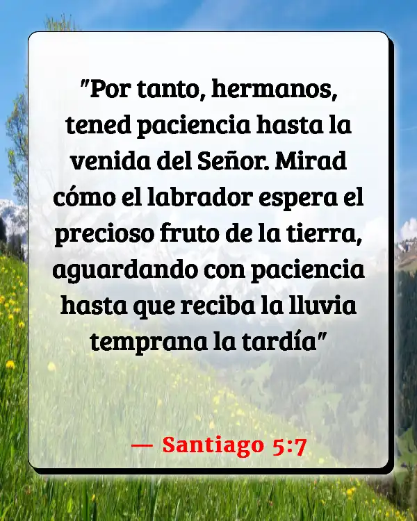 Versículos De La Biblia Paciente (Santiago 5:7)