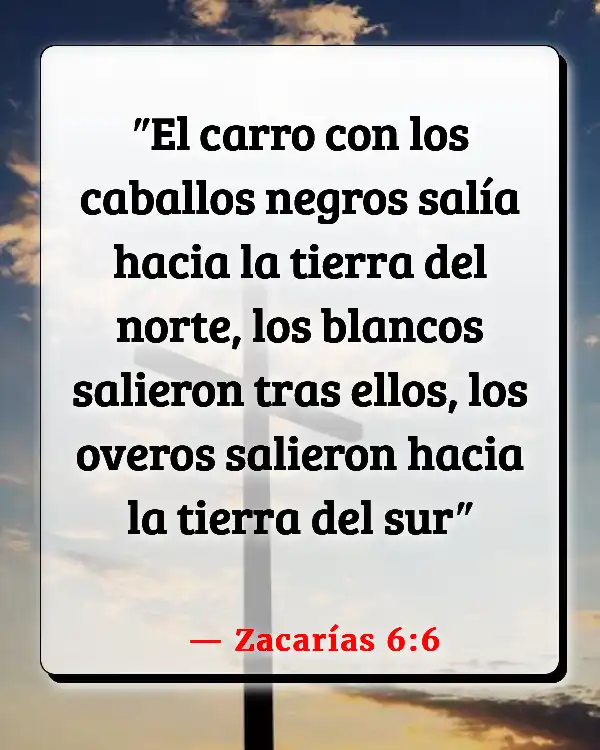 Versículos De La Biblia   	Púrpura  (Zacarías 6:6)