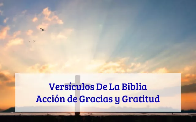 48 Versículos De La Biblia Acción de Gracias y Gratitud – Escritura Biblica
