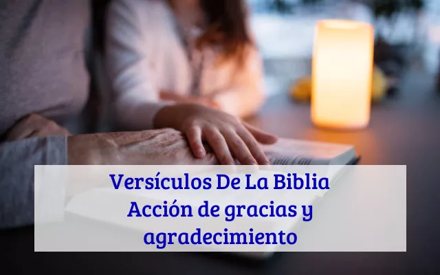 Versículos De La Biblia Acción de gracias y agradecimiento